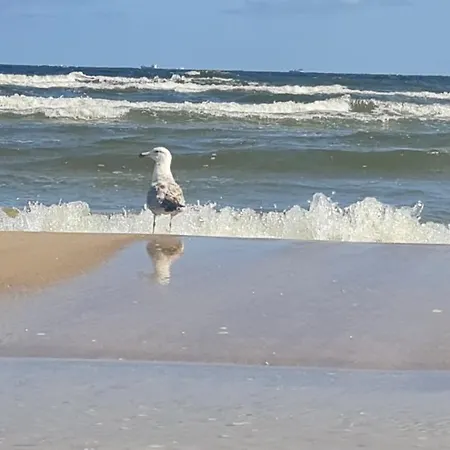 شقة Four Seasons Aquamarina *